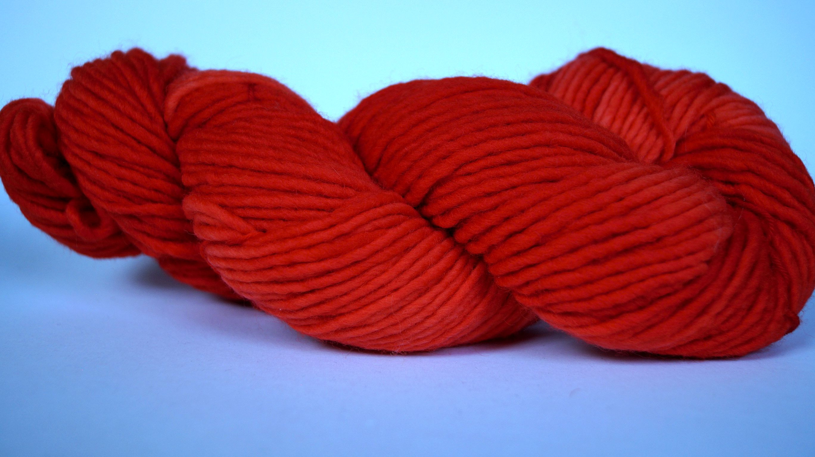 DSC006606YkIpLmDqfTts