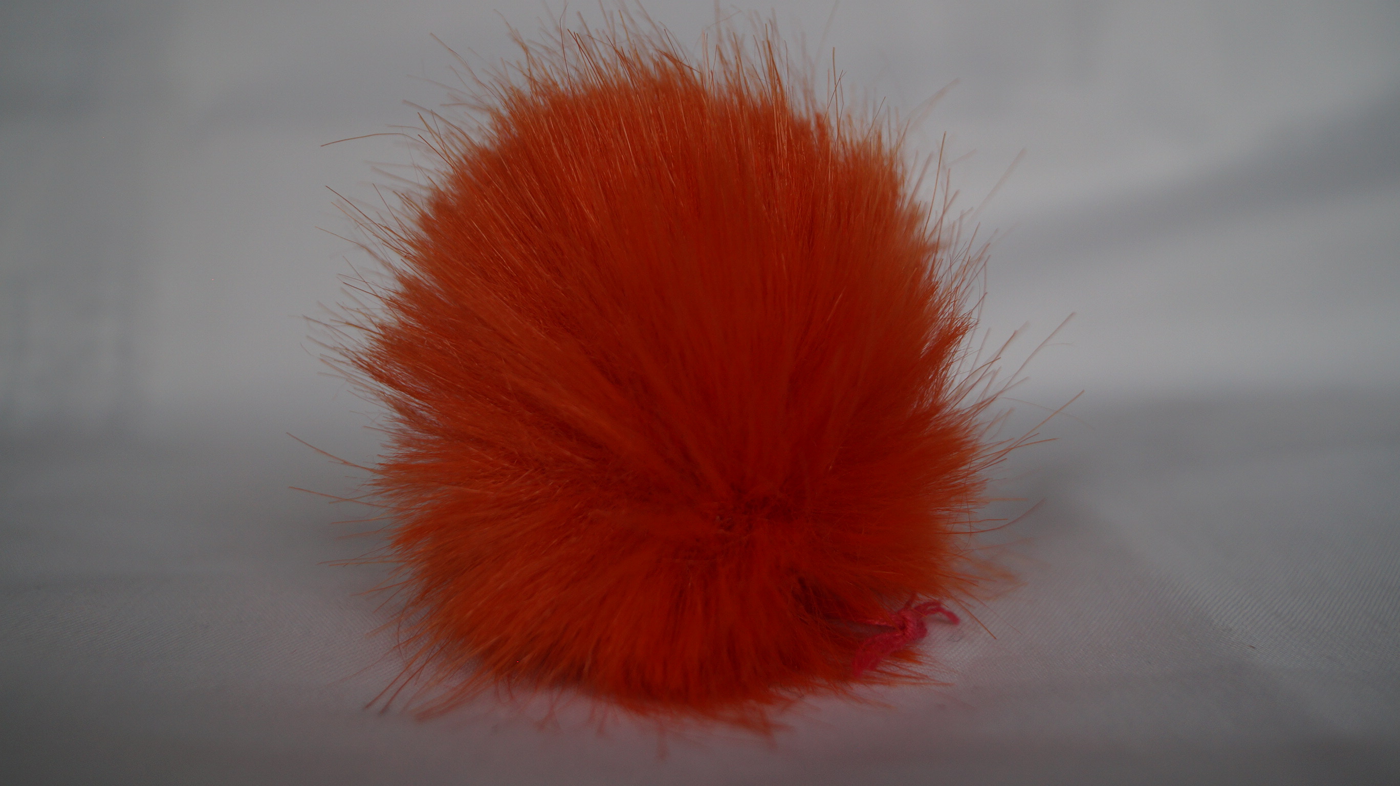 DSC05481MBtrtzgDTRWAh