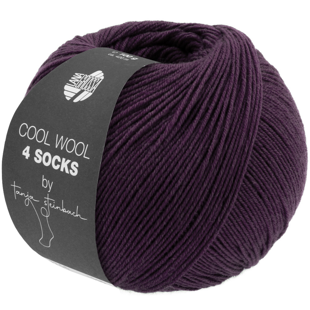 Cool Wool 4 Socks by Tanja Steinbach