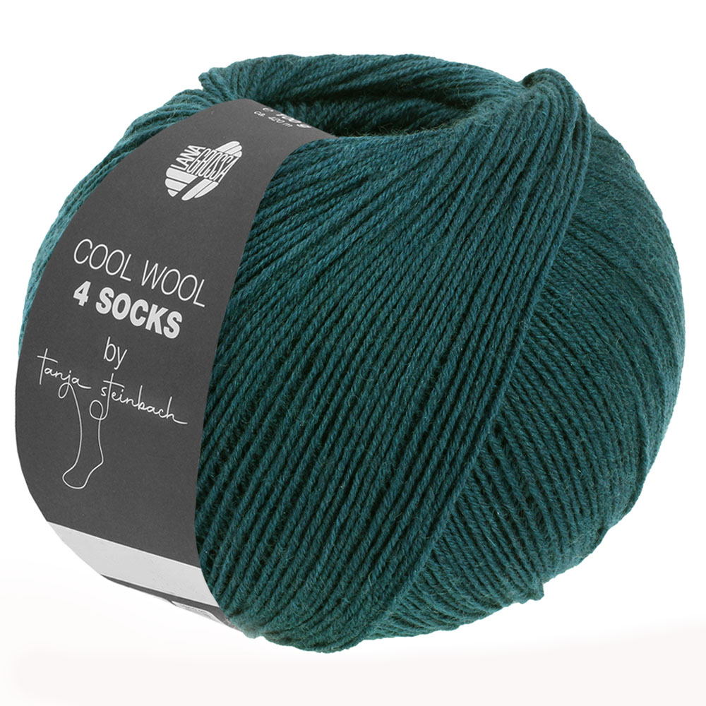 Cool Wool 4 Socks by Tanja Steinbach